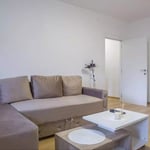 Long-term rental in Belgrade: 2-room apartment, 50 m², near the city center with balcony and appliances