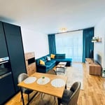 Долгосрочная аренда 2-комнатной квартиры-студии, 56 м², в Luxuria Residence, Бухарест, Румыния