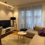 Modern, Cozy Apartment 46m² for Rent, Vračar, Belgrade, Serbia