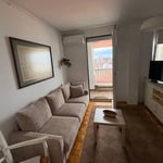Bright 33 m² apartment for rent in the city center, Belgrade, Serbia
