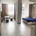 Аренда просторной студии, 43 м², Батуми, Грузия