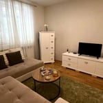 Alquiler de un cómodo apartamento de 2 habitaciones, 45 m², centro de Belgrado, Serbia