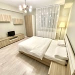 Miete einer komfortablen 1-Zimmer-Wohnung mit separater Küche, Bukarest, Rumänien