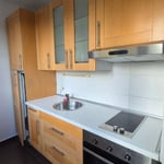 Location d’un appartement cosy d’1 pièce, 38 m², Podunajské Biskupice, Bratislava, Slovaquie