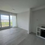 Rent of a new and bright studio apartment, 42 m², Nordelta, Buenos Aires Province, Argentina