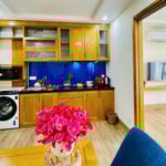 Rent of a modern, furnished apartment, Son Tra, Da Nang, Vietnam