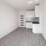 Location d’un appartement lumineux de 2 pièces, 43 m², Žižkov, Prague, République tchèque