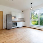 Cozy and bright apartment for rent, 26 m², Vršovice, Prague, Czech Republic