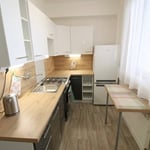 Аренда светлой, комфортной квартиры, 50 м², Вршовице, Прага, Чехия
