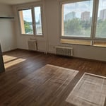 Spacious, bright apartment for rent, 66 m², Braník, Prague, Czech Republic