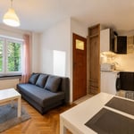 Cozy and spacious studio apartment for rent, Śródmieście, Warsaw