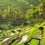 Ubud