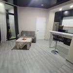 Rent a 45 m² apartment with a view in Batumi