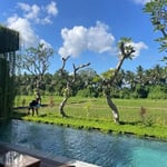 Long-term rental of a brand-new villa with rice field view in Batuan area, Ubud
