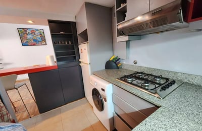 Alquiler a largo plazo de 2 ambientes con terraza y parrilla en Buenos Aires, Argentina, San Telmo