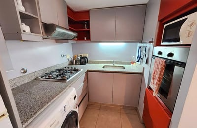 Alquiler a largo plazo de 2 ambientes con terraza y parrilla en Buenos Aires, Argentina, San Telmo