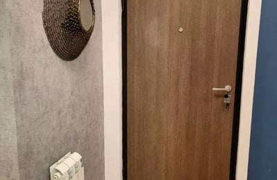 Long-term rental of a two-room apartment in Belgrade