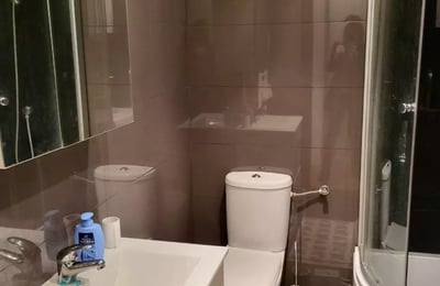 Long-term rental of a two-room apartment in Belgrade
