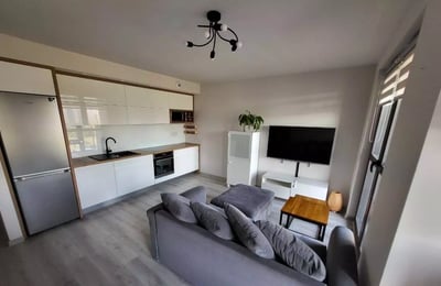 Long-term rental elegant apartment in a prime district, Kraków, Poland