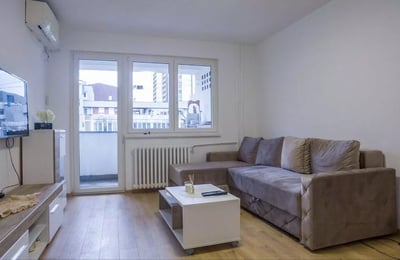 Long-term rental in Belgrade: 2-room apartment, 50 m², near the city center with balcony and appliances