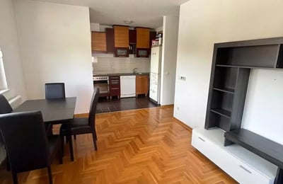 Location longue durée d’un appartement 2 pièces de 44 m² à Belgrade, Serbie