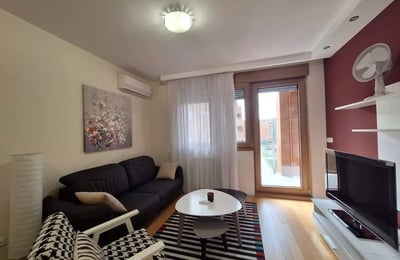 Long-term rental of a 2-room apartment, 55 m² in Belgrade, Serbia