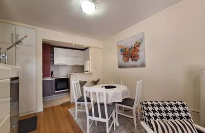Long-term rental of a 2-room apartment, 55 m² in Belgrade, Serbia