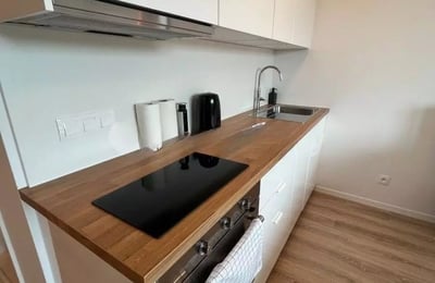 Долгосрочная аренда 1-комнатной квартиры в новостройке Ovocné Sady, Ружинов, Братислава, Словакия