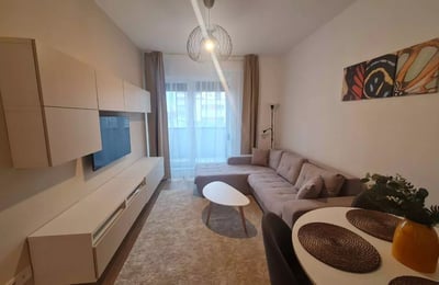 Долгосрочная аренда 2-комнатной квартиры 45 м² в Брашове, Румыния