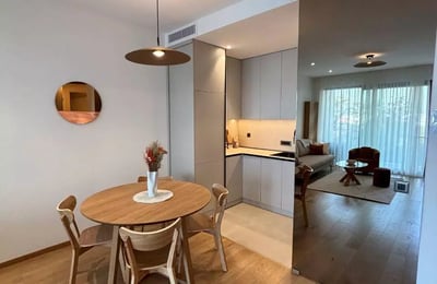 Long-term rental 2-room apartment, 55 m², New Dorchol area, Belgrade, Serbia