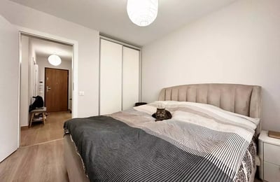 Долгосрочная аренда 2-комнатной квартиры в Брашове, Румыния