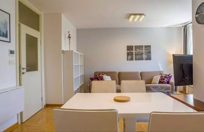 Location longue durée d’un appartement de 2 pièces, 50 m², dans le quartier de Voždovac, Belgrade, Serbie