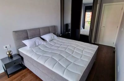 Langfristige Vermietung einer 2-Zimmer-Wohnung, 50 m², im Zentrum von Belgrad, Serbien