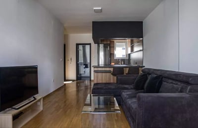 Langfristige Vermietung einer 2-Zimmer-Wohnung, 46 m², im Stadtteil Zvezdara, Belgrad, Serbien
