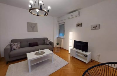 Location longue durée d’un appartement de 2 pièces, 48 m², Palilula, Belgrade, Serbie