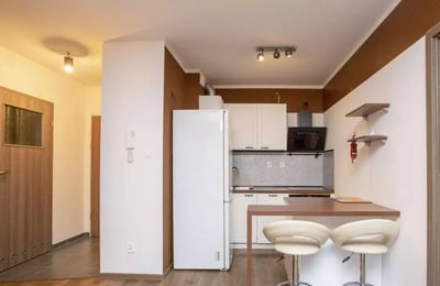 Long-term rental of a 3-room apartment, 50 m², Psie Pole, Wrocław, Poland