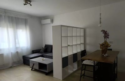 Alquiler a largo plazo de un estudio, 30 m², Nuevo Belgrado, Belgrado, Serbia