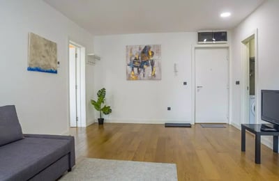Alquiler de un acogedor apartamento de 2 habitaciones, 40 m², Vračar, Belgrado, Serbia