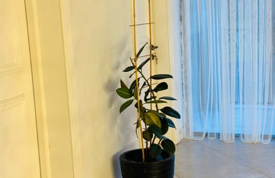 Miete eines geräumigen dreistöckigen Hauses, Makhinjauri, Batumi, Georgien