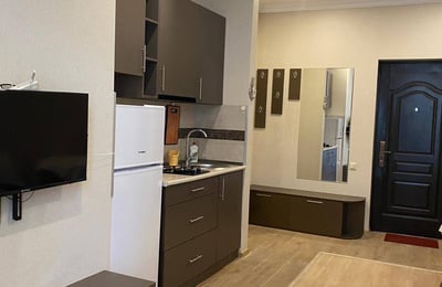 Cozy, furnished 44 m² apartment for rent, Batumi, Georgia