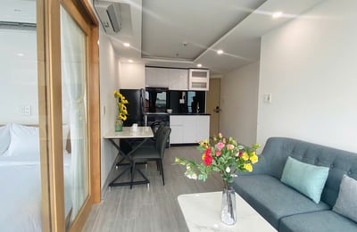 New Apartment for Rent Near the Beach, Son Tra District, Da Nang, Vietnam