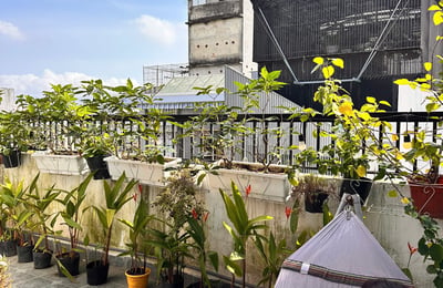 Bright, cozy penthouse for rent with garden balcony, Da Nang, Vietnam