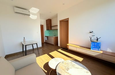 Rent a new, bright apartment, Son Tra, Da Nang, Vietnam