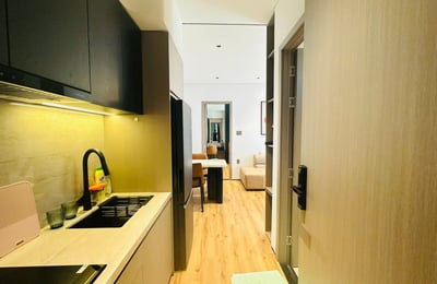 Luxury Fully Furnished 1-Bedroom Apartment for Rent in Hai Chau, Da Nang
