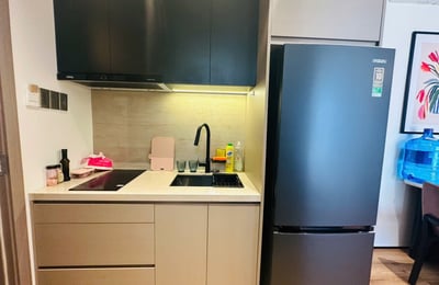 Luxury Fully Furnished 1-Bedroom Apartment for Rent in Hai Chau, Da Nang