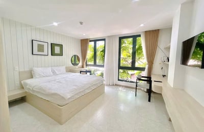 Luxurious bright apartment for rent, Da Nang, Vietnam