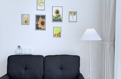 Furnished apartment for rent (Pet-friendly), Da Nang, Vietnam