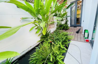 Alquiler de una casa de lujo y luminosa de 350 m² con un hermoso jardín en el distrito de Hai Chau, Da Nang, Vietnam