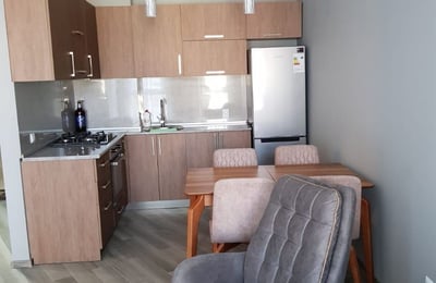 Furnished 60 m² apartment with new renovation for rent in Batumi, Georgia