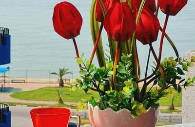 Appartement meublé avec vue sur la mer, 56 m², à louer à Batumi, Géorgie